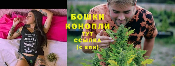 прущие грибы Балабаново