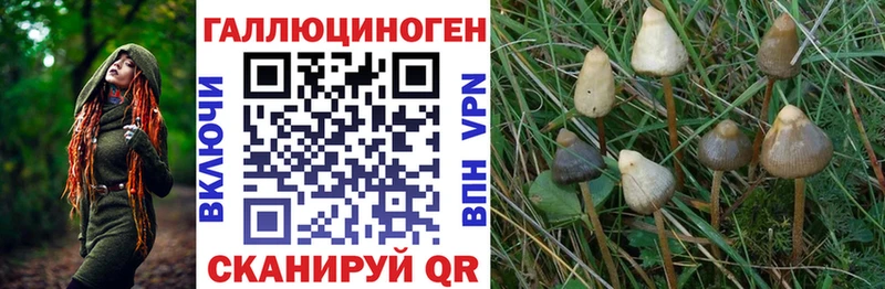Галлюциногенные грибы Cubensis Болхов